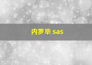 内罗毕 sas